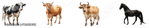 a group of cow isolated on transparent png background