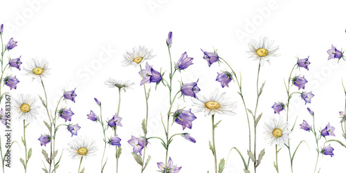 Seamless border watercolor Daisy and bluebell. Hand drawn illustration of Chamomile. White and violet blossom flower on isolated background. Drawing botanical invitation cards. paint summer wildflower