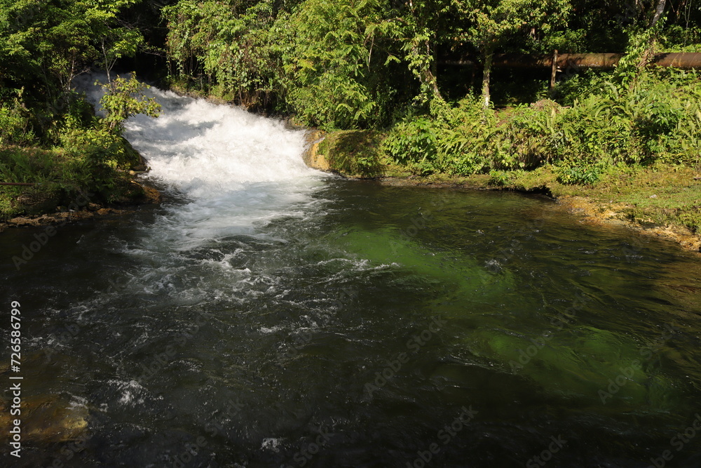 Strong river current from the forest Strong river current from the forest