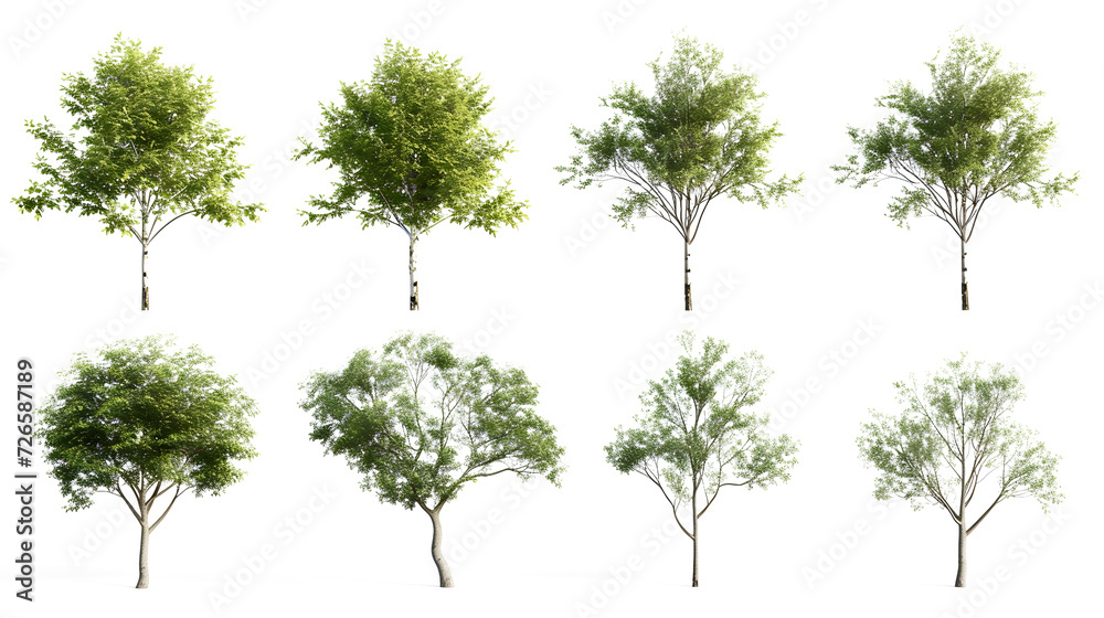 Cutout environmental trees growth shapes set transparent backgrounds Cutout environmental trees growth shapes set transparent backgrounds