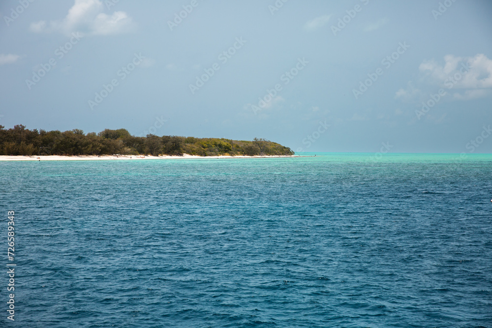 view of Heron Island from the water on a sunny day view of Heron Island from the water on a sunny day