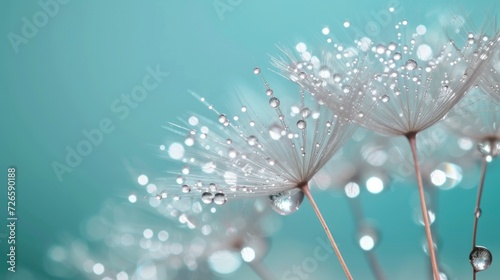 Macro view of water drops on the dandelion flower.