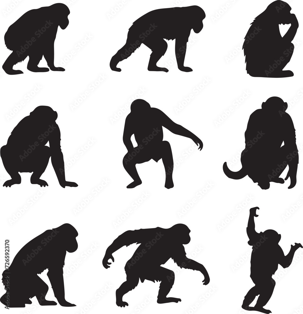 Chimpanzee Silhouette