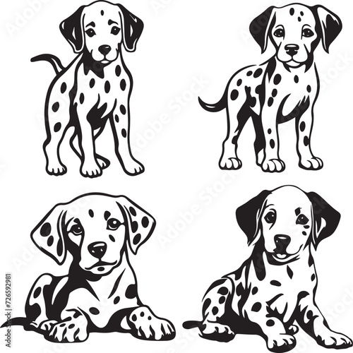 Dalmatian Dog Puppy