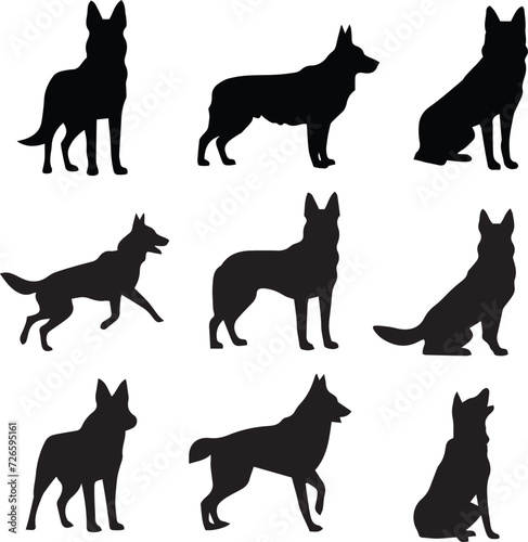 German Shepherd Dog Silhouettes photo