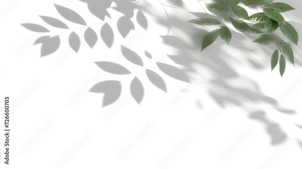 Shadow spa leaves flowing movement isolate transparent backgrounds Shadow spa leaves flowing movement isolate transparent backgrounds