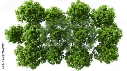 Topview outside greenery trees landscape cut out transparent backgrounds 