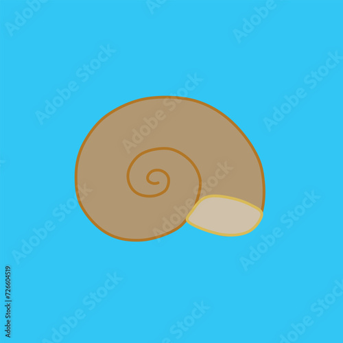 The beige seashell on the blue background