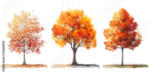 Watercolor Set of trees autumn color palette 