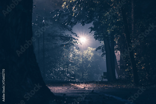 ciemny i mroczny park w nocy oświetlony latarnią we mgle