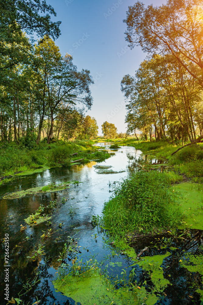 View On Small River In Sunset Forest View On Small River In Sunset Forest