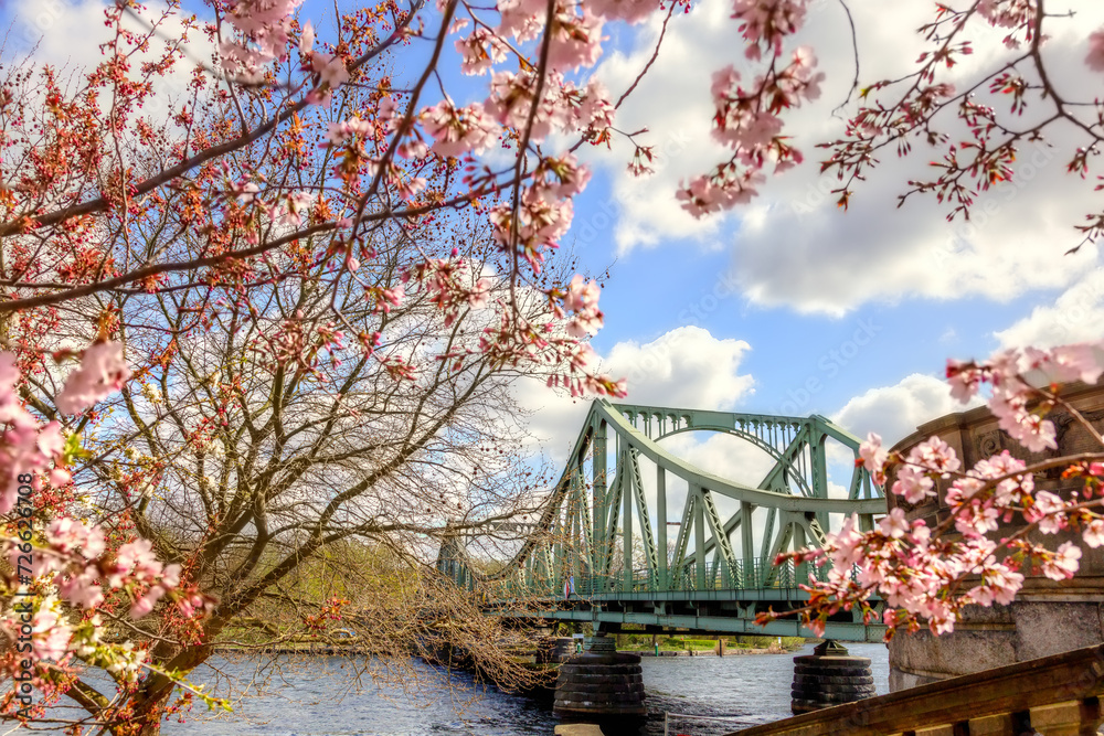 Glienicker Brücke umrahmt von Kirschblüten