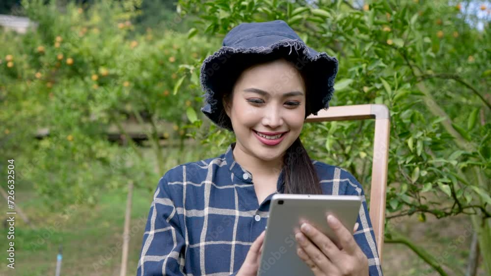 Orange farm, small business owned by Asian woman, Female in orchard with tablet, tech-savvy farming, blue bucket hat. Smiling female farmer researching on tablet among Orange trees Orange farm, small business owned by Asian woman, Female in orchard with tablet, tech-savvy farming, blue bucket hat. Smiling female farmer researching on tablet among Orange trees