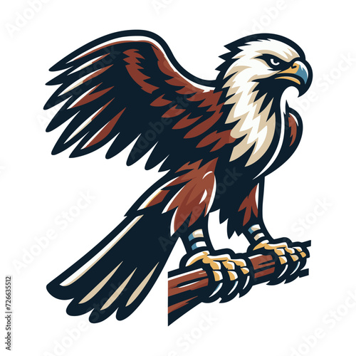 Wild animal bird of prey  raptor bird vector design illustration  hawk eagle falcon logo flat design template isolated on white background