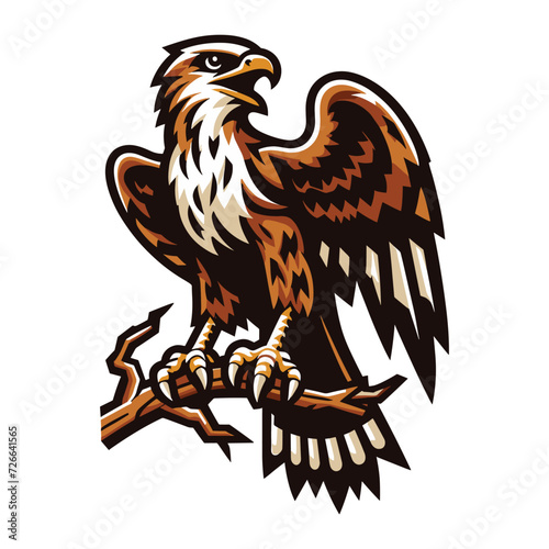 Wild animal bird of prey, raptor bird vector design illustration, hawk eagle falcon logo flat design template isolated on white background