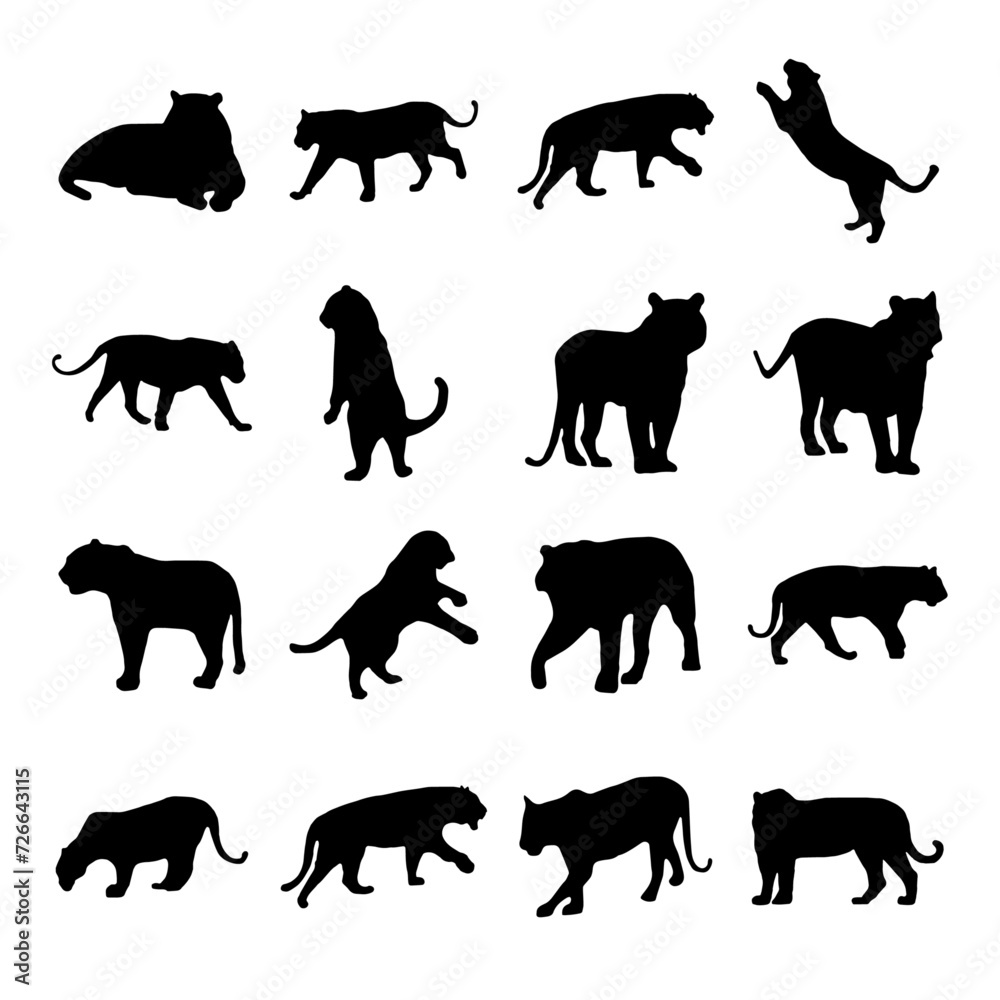 Tiger silhouette set vector illustration, Collection of Tiger silhouette