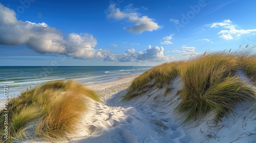 Panoramic beauty of a dune beach on the island. Coastal serenity, natural allure.