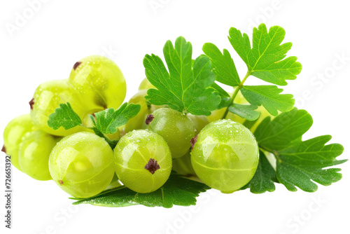 Indian gooseberry or phyllanthus emblica With leaves, isolated on white transparent background. photo