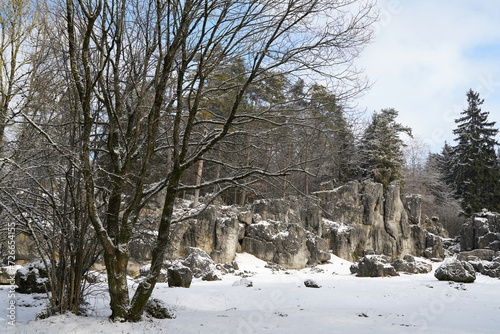 Wallpaper Mural Winter scenery with snow and trees in Bavaria, Germany Torontodigital.ca
