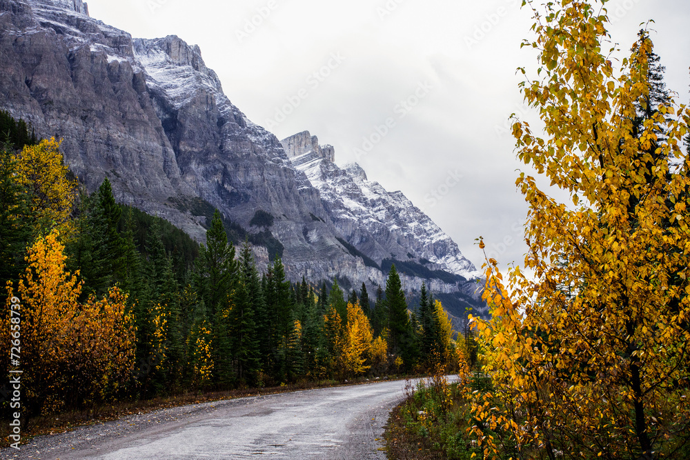 Naklejka premium Icefields Parkway, Alberta, Canada
