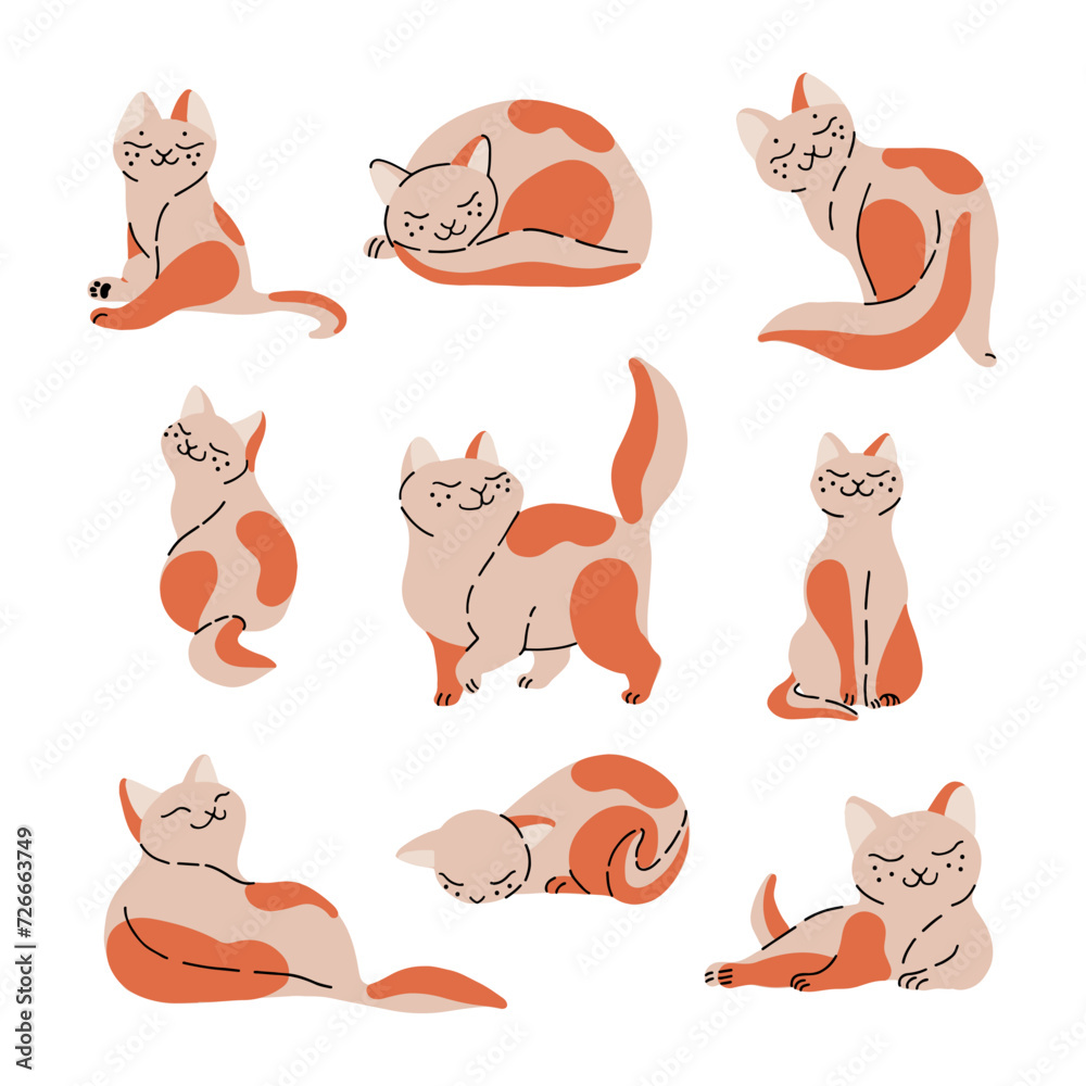 Set of cat illustrations in different poses. Flat stock vector illustration.