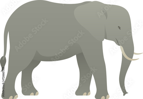 Flat minimalist color illustration of elephant standing, walking. African exotic wild animal clipart isolated on white background.
