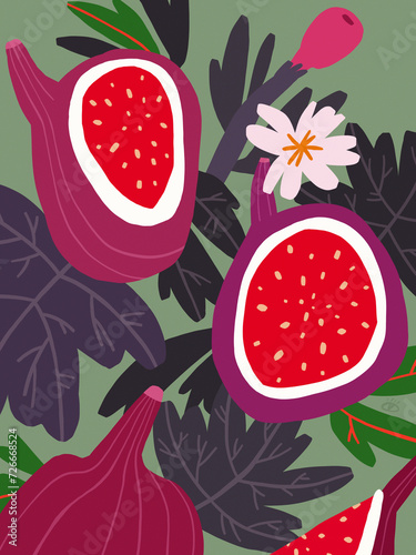 Fig Art, Figs Illustration