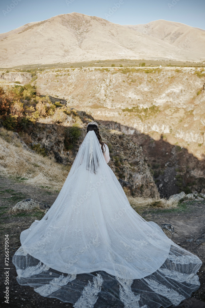 Back view of bride standing in front of the mountain near the canyon