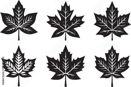 Plant Leaf Icon on Transparent Background