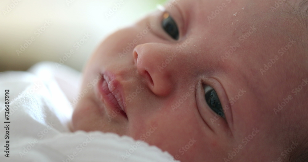 Close-up of newborn baby infant face awake Close-up of newborn baby infant face awake