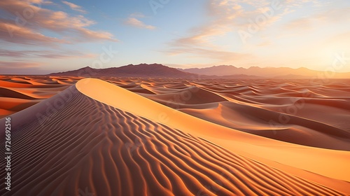 Desert sand dunes at sunset. Panoramic landscape.