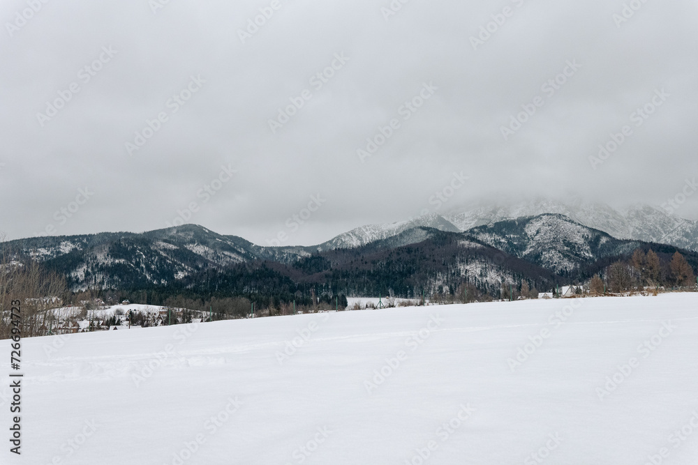 view of the mountains in the snow