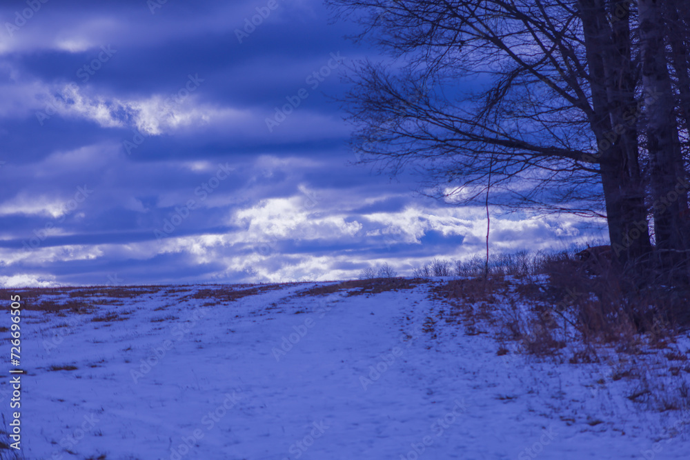 a snow covered field next to two trees with blue sky and clouds