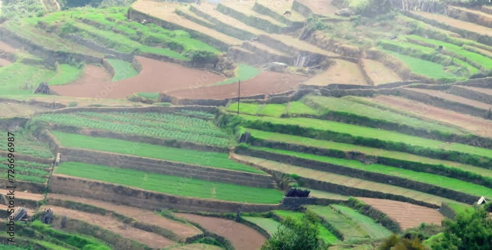 vast expanses of rice fields and agricultural land in cold and foggy mountain areas vast expanses of rice fields and agricultural land in cold and foggy mountain areas