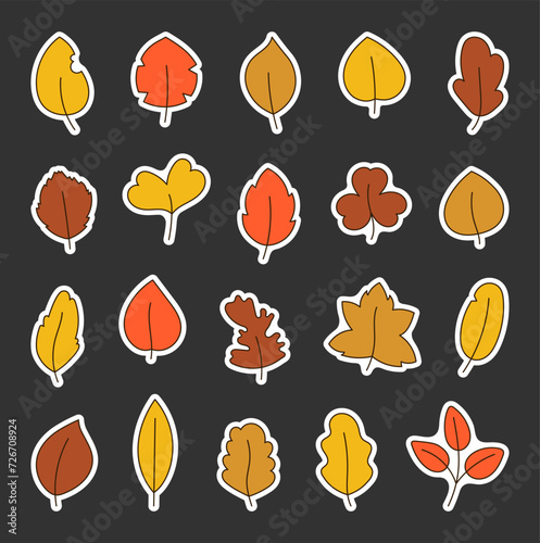 Autumn leaf. Nature. Sticker Bookmark. Hand drawn style. Vector drawing. Collection of design elements.