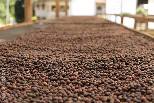 coffee minas gerais brasil