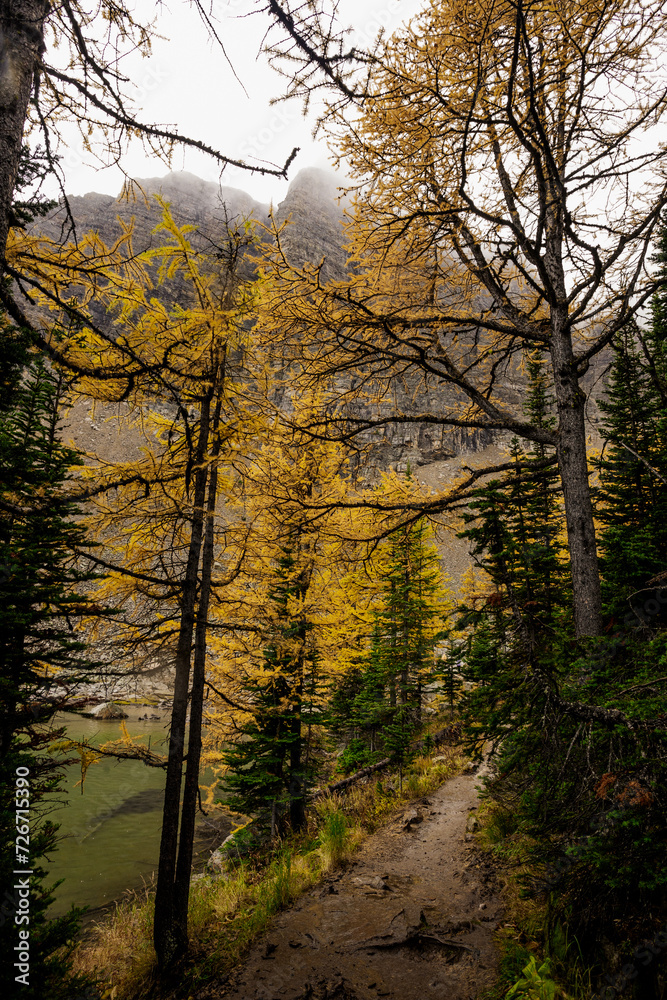 Banff National Park, Alberta, Canada