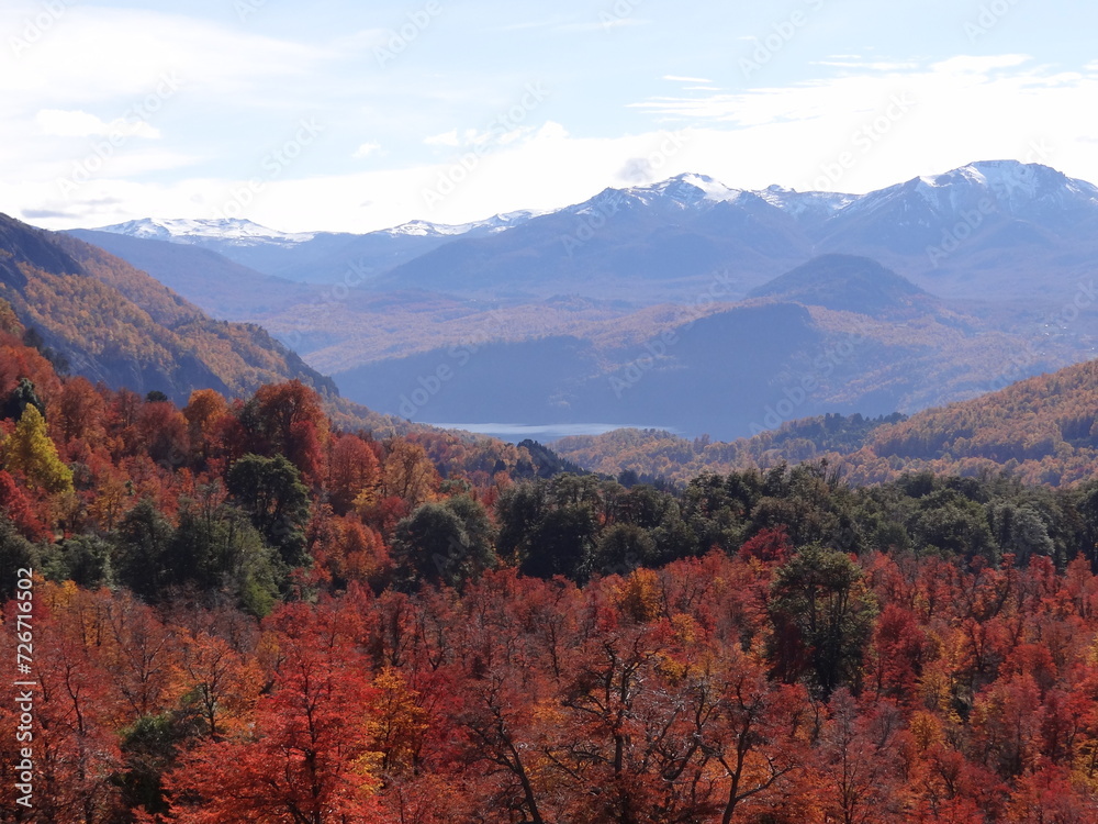 fall colors in the mountains