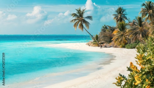 Beautiful beach with white sand  turquoise ocean  blue sky with clouds and palm tree over the water on a Sunny day. Maldives  perfect tropical landscape  wide format.