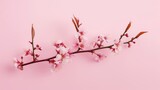 Spring blooming branch with pink flowers on a pastel pink background. - Generative AI