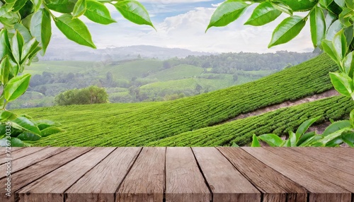  Empty wooden table or wooden desk with tea plantation nature background with green leaves as frame Product display natural background concept 