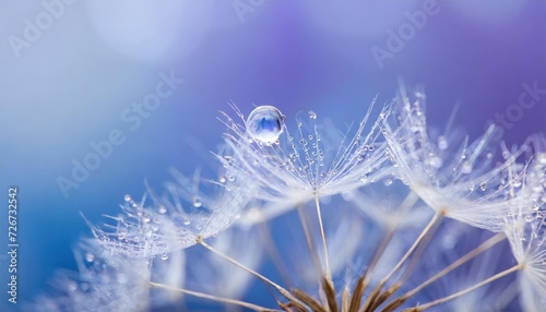 High-quality Beautiful dew drop on a dandelion seed macro. Beautiful soft light blue and violet background. Water drop on a parachutes dandelion on a beautiful blue. Soft dreamy tender artistic image 