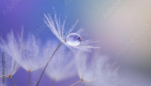 High-quality Beautiful dew drop on a dandelion seed macro. Beautiful soft light blue and violet background. Water drop on a parachutes dandelion on a beautiful blue. Soft dreamy tender artistic image 