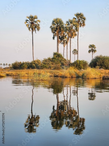 Palm island in Okavango Delta, Botswana