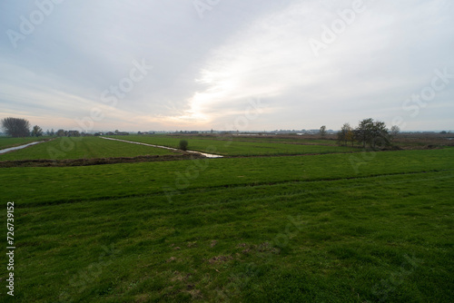 Agricultural field in De Ronde Venen during the fall, the Netherlands