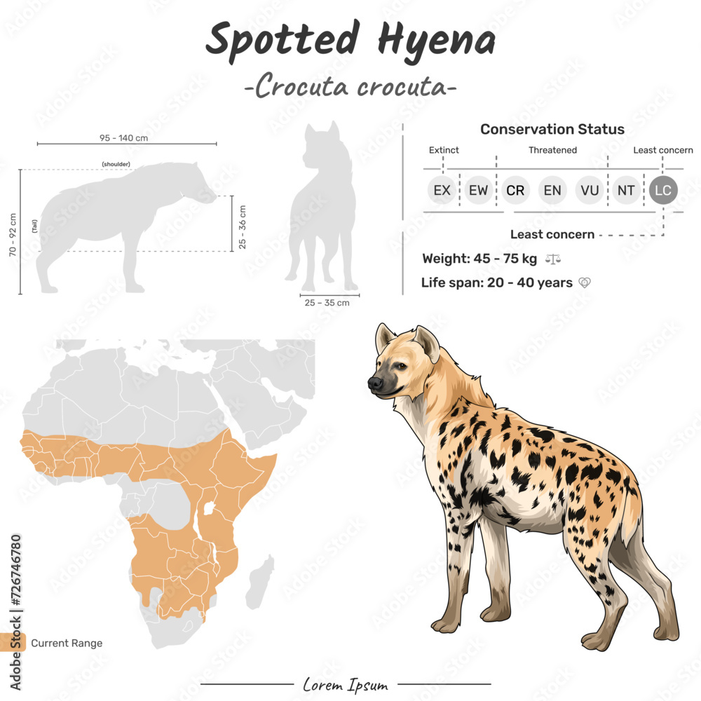 Crocuta crocuta Spotted Hyena geographic range