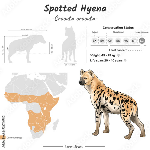 Crocuta crocuta Spotted Hyena geographic range