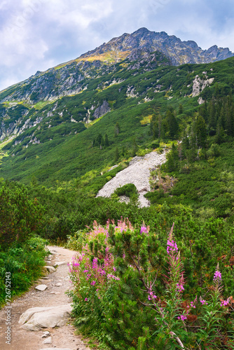Fototapeta Naklejka Na Ścianę i Meble -  Polish Tatra Mountains, high mountain hiking trail leading to mountain peaks, mountain landscape with valleys and slopes, view on a sunny summer day.