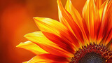  a close up of a large sunflower with a red center and yellow center, with a blurry background.