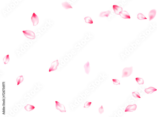 Pink sakura petals confetti flying and falling